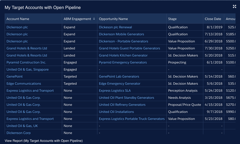 ABM Target Accounts and Their Active Opps